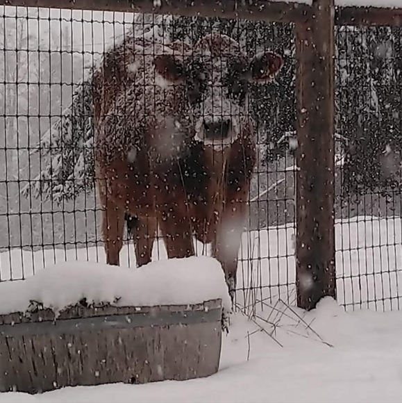 Meet your Ambassador Posher, Gale - Picture 6 of 13